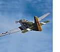 ParkZone P-51D Mustang BL Bind-N-Fly Electric Airplane