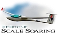 Scale Soaring