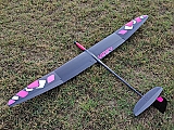 Vinky F5K Electric Glider