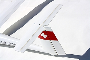 Glasflugel 304 scale glider