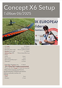 Concept CX6 Pro F3K DLG Set Up