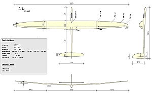 Pike Perfect F5J Disser
